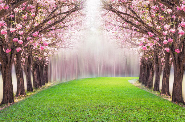 Túnel de flores rosas