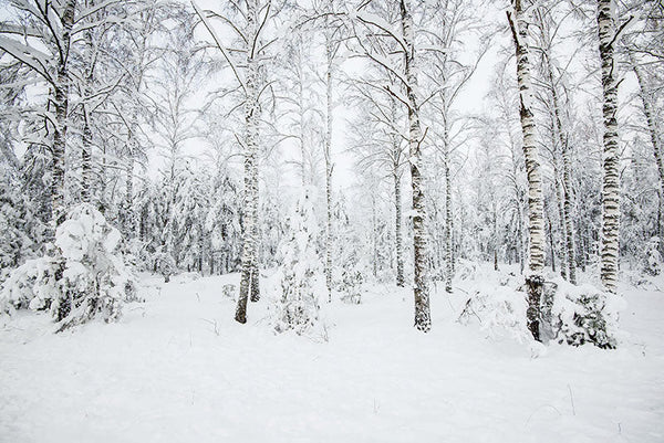 El susurro del invierno