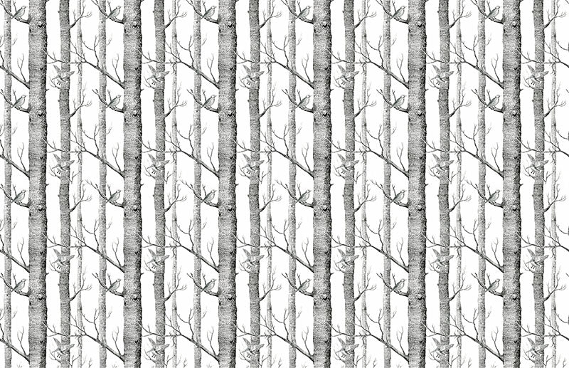 Troncos de árboles en blanco y negro