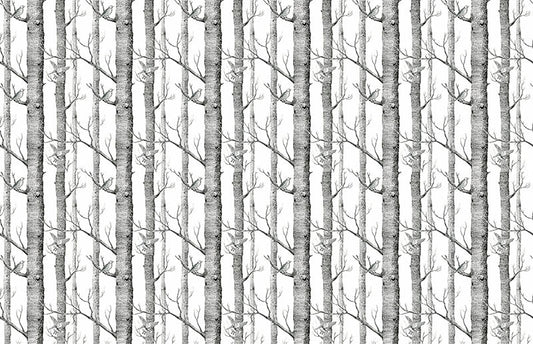 Troncos de árboles en blanco y negro