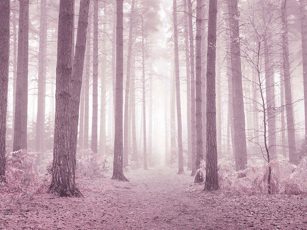 Árboles en un bosque rosa