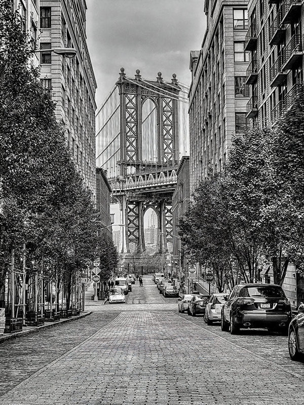 Camino al icono urbano: escenas del puente de Brooklyn