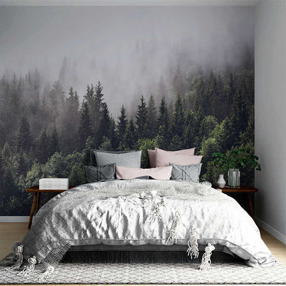 Pine forest in fog wall decals