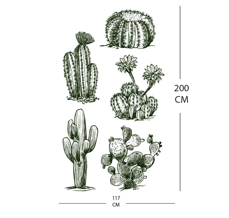 Set de vinilos cactus a blanco y negro